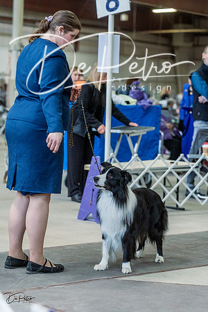 20230226-DSC01692