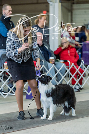 20230226-DSC01697