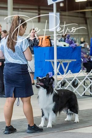 20230226-DSC01708