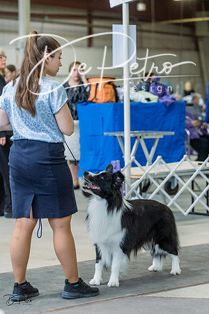 20230226-DSC01709