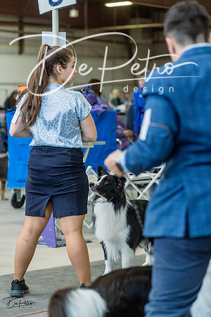 20230226-DSC01738