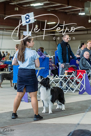 20230226-DSC01741