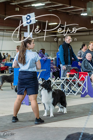 20230226-DSC01740