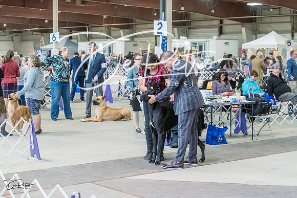 20230226-DSC01784