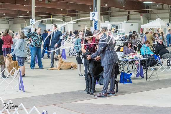 20230226-DSC01785