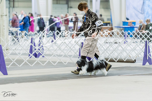 20230226-DSC02136