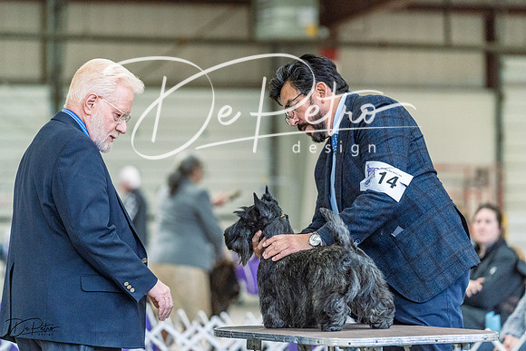20230226-DSC02447