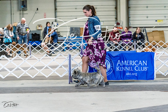 20230226-DSC02399