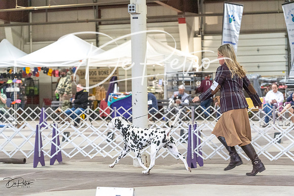 20230226-DSC03362