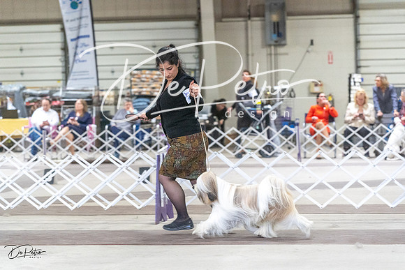 20230226-DSC03381