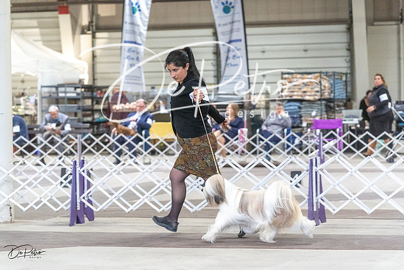 20230226-DSC03385