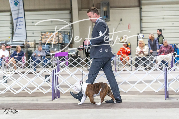 20230226-DSC03421