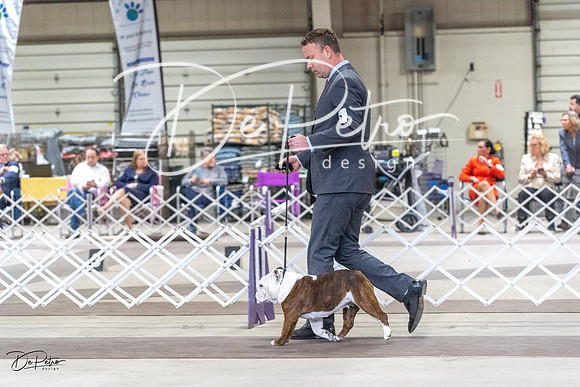 20230226-DSC03423