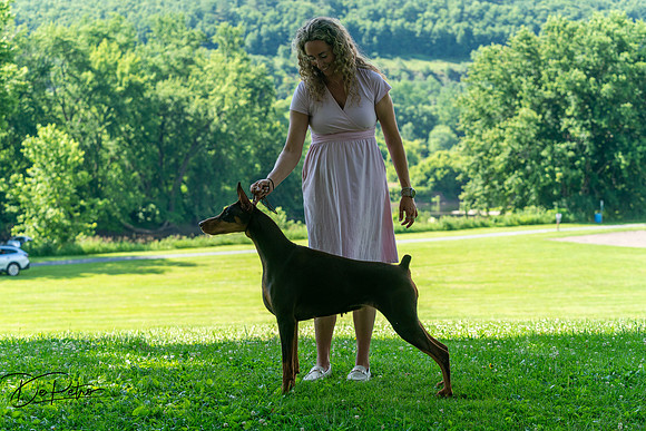 20260627-DSC09400