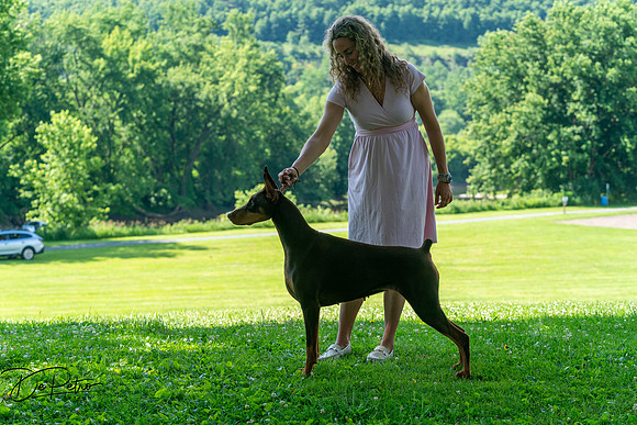 20260627-DSC09415