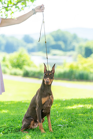20260627-DSC09521
