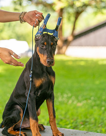 20260627-DSC09633