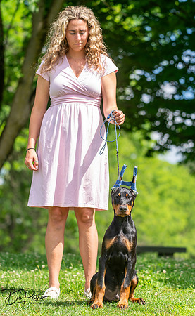 20260627-DSC09729