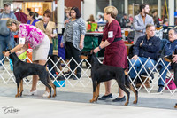 20230304-DSC05853
