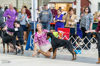 20230304-DSC05857