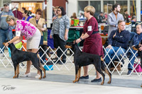 20230304-DSC05854