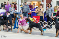 20230304-DSC05856