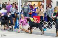 20230304-DSC05855
