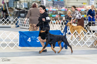 20230304-DSC05860