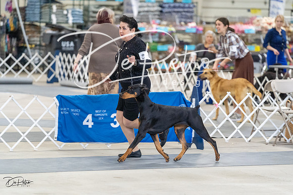 20230304-DSC05860