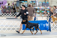 20230304-DSC05862