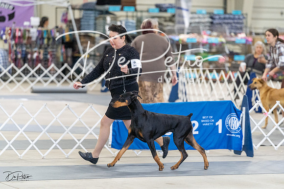 20230304-DSC05862