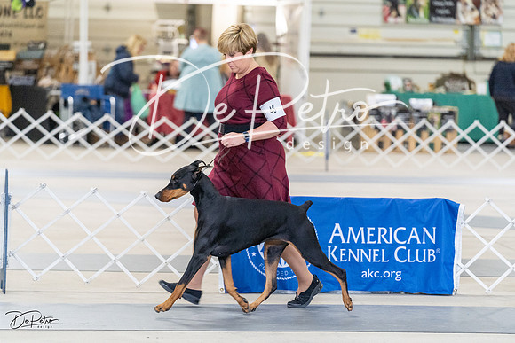 20230304-DSC05885