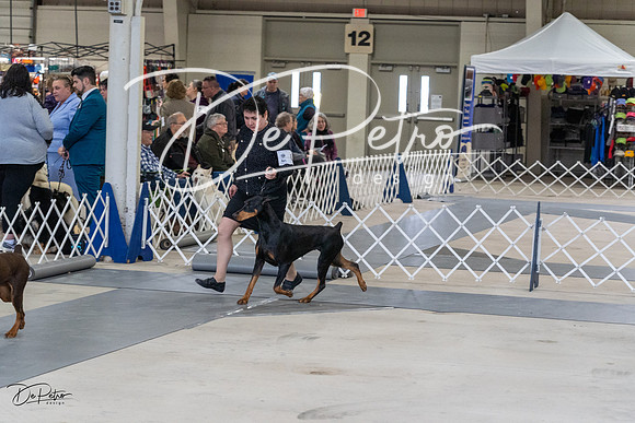 20230304-DSC05914