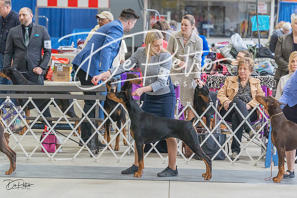 20230304-DSC05930