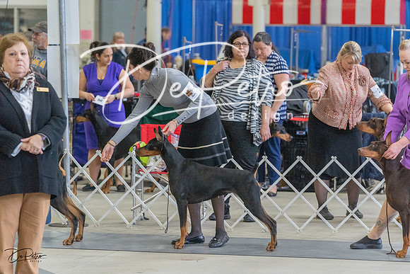 20230304-DSC05938