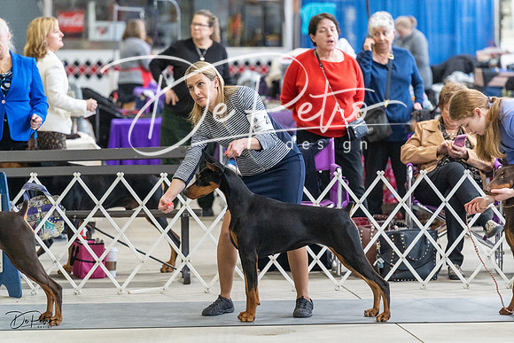 20230304-DSC05948