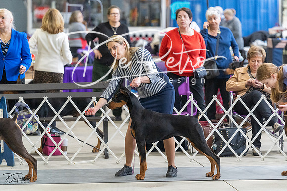 20230304-DSC05952
