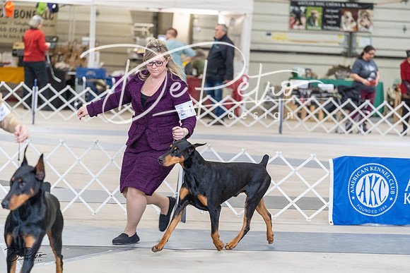 20230304-DSC06023