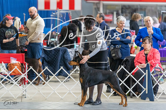 20230304-DSC06035