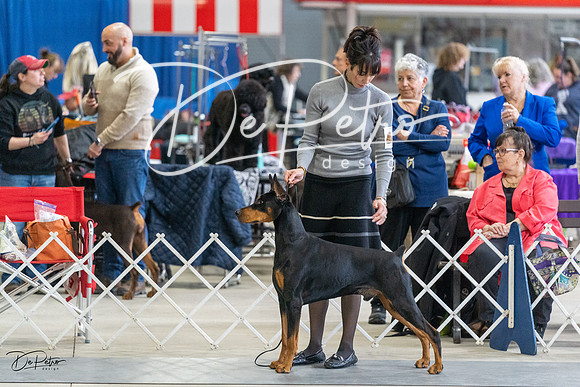 20230304-DSC06037
