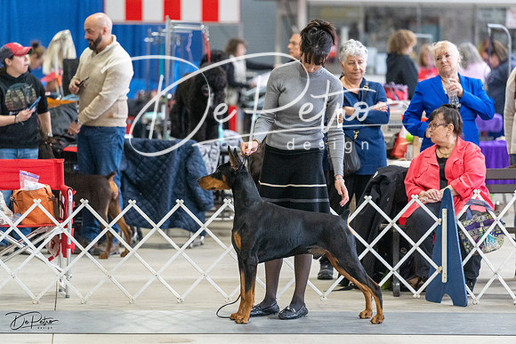 20230304-DSC06038