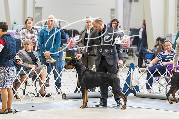 20230304-DSC06039
