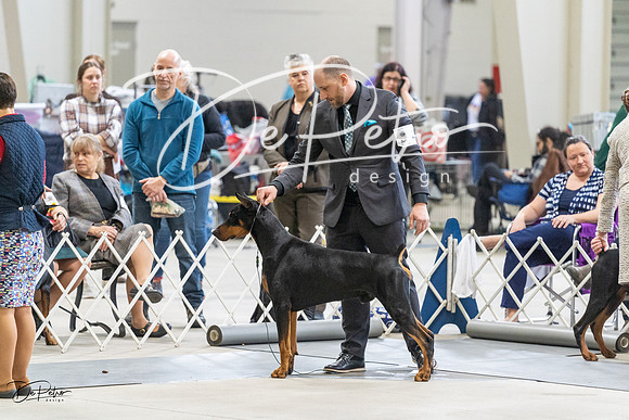 20230304-DSC06040