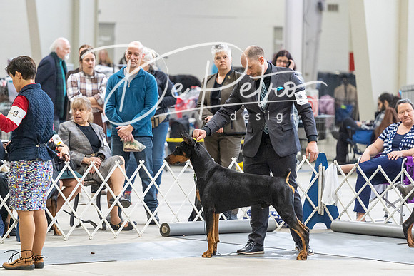 20230304-DSC06041