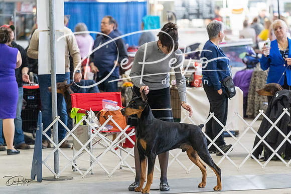 20230304-DSC06048