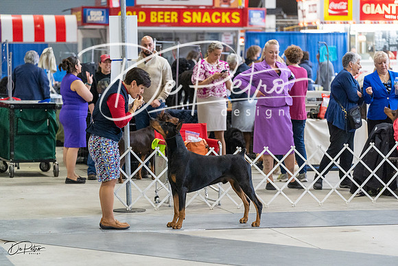 20230304-DSC06069