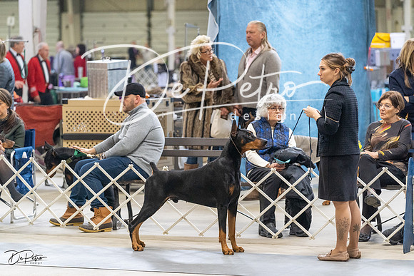 20230304-DSC06072