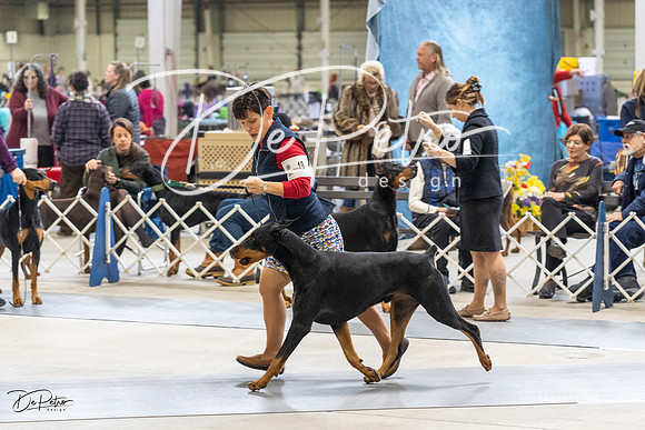 20230304-DSC06085