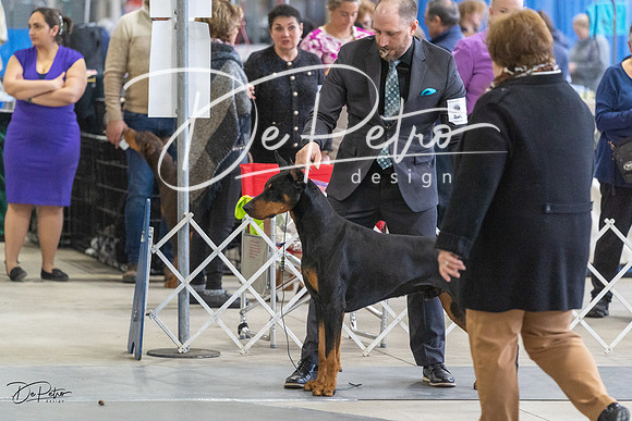 20230304-DSC06100