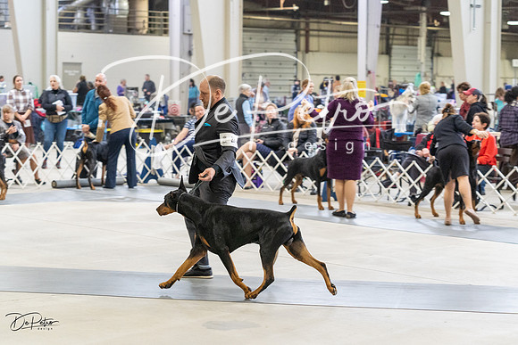 20230304-DSC06115